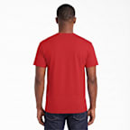Delaware State University Football 2025 MEAC Regular Season Champions Short Sleeve T-Shirt