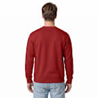 Lewis University Flyers Crewneck