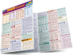 SPANISH GRAMMER QUIZZER