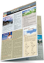 YOGA FOR EVERYBODY