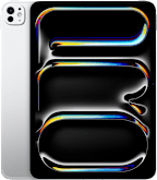 IPAD PRO 11 M5 WF CL 2TB NT