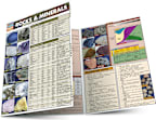 Rocks & Minerals