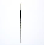 ASHLEY CHINESE BRISTLE FILBERT 2