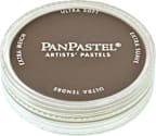 PANPASTEL 9ML RAW UMBER SHADE