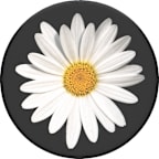 POPSOCKET V2 WHITE DAISY