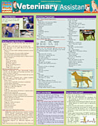 Veterinary Assistant