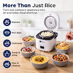 Rice Robot