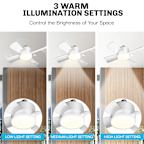 Socket Fanlight Warm Light