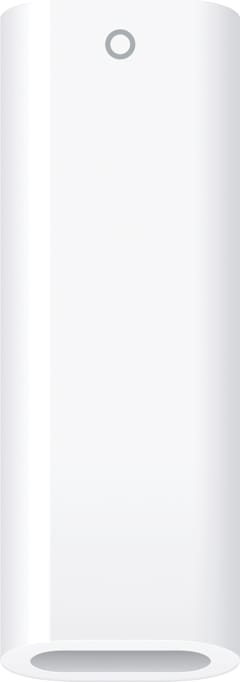 USB-C to Apple Pencil Adapter- ONLINE ONLY