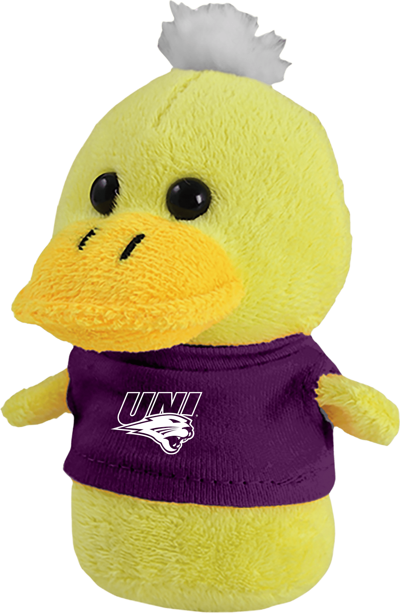 University of Northern Iowa Panthers Shorties