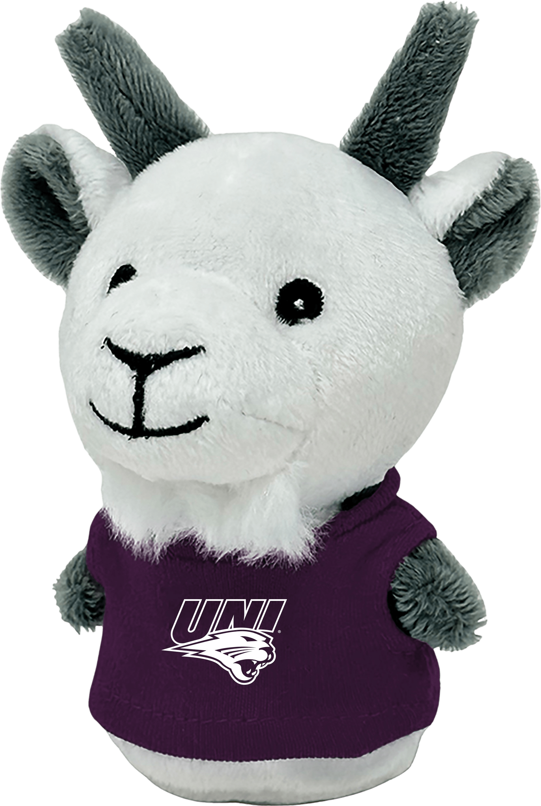 University of Northern Iowa Panthers Shorties