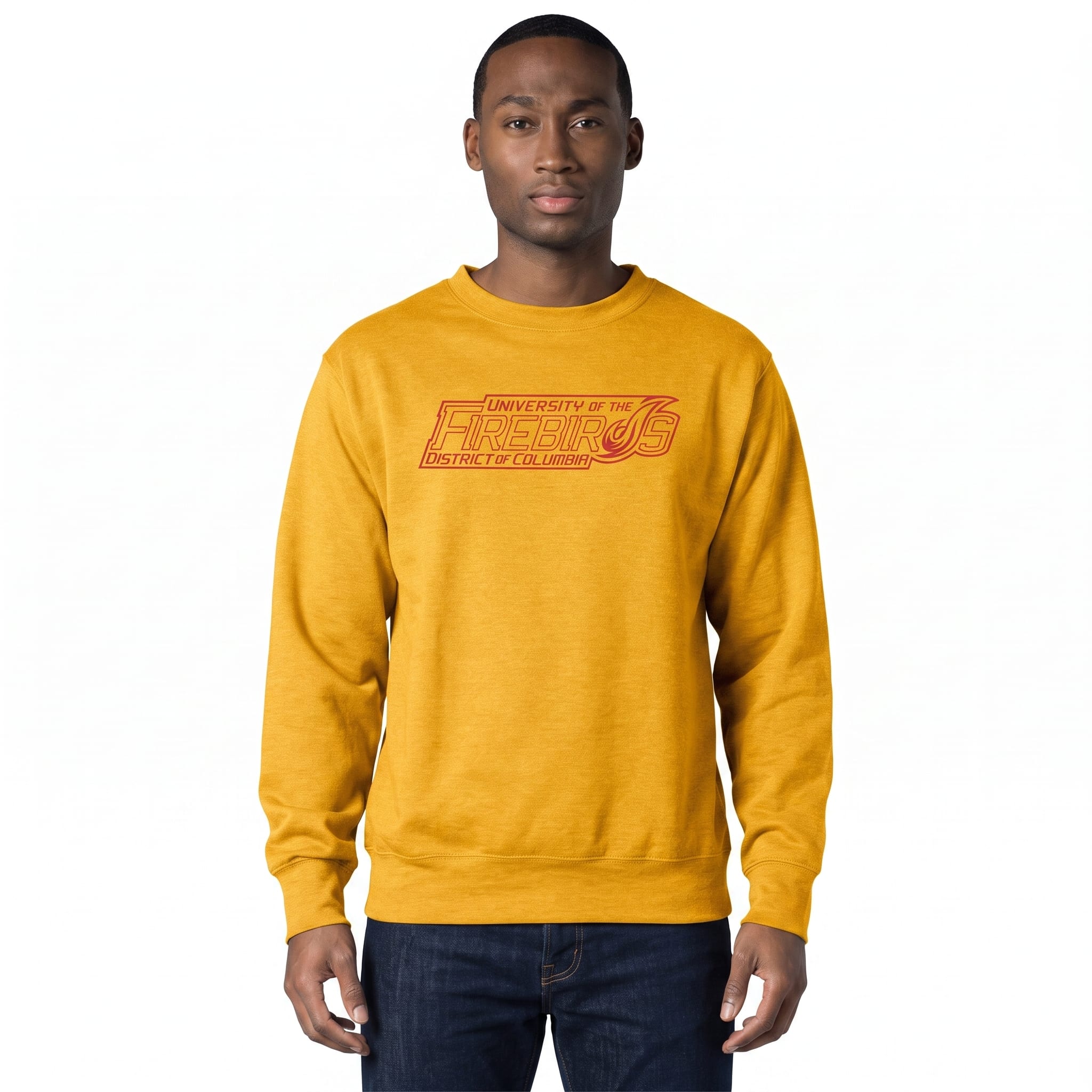 University of District of Columbia Firebirds Crewneck