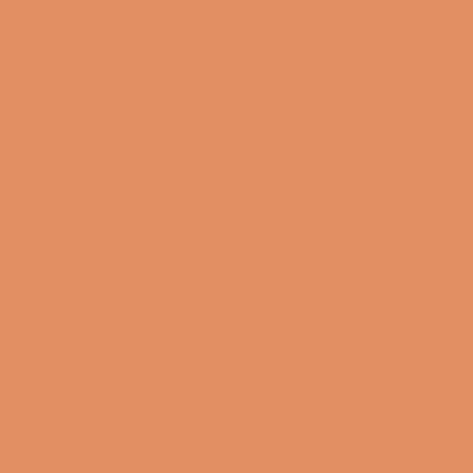 MI-TEINTES 187 CINNAMON 19X25 - In Store Only