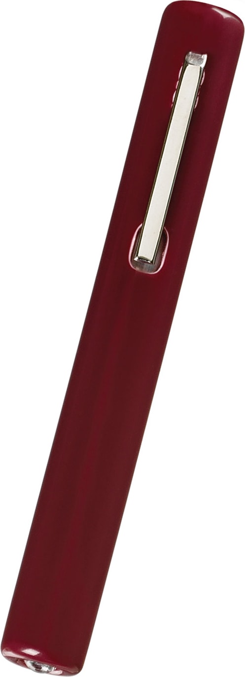 STANDARD DISPOSABLE PENLIGHT IN SLIDE PACK-BURGUNDY