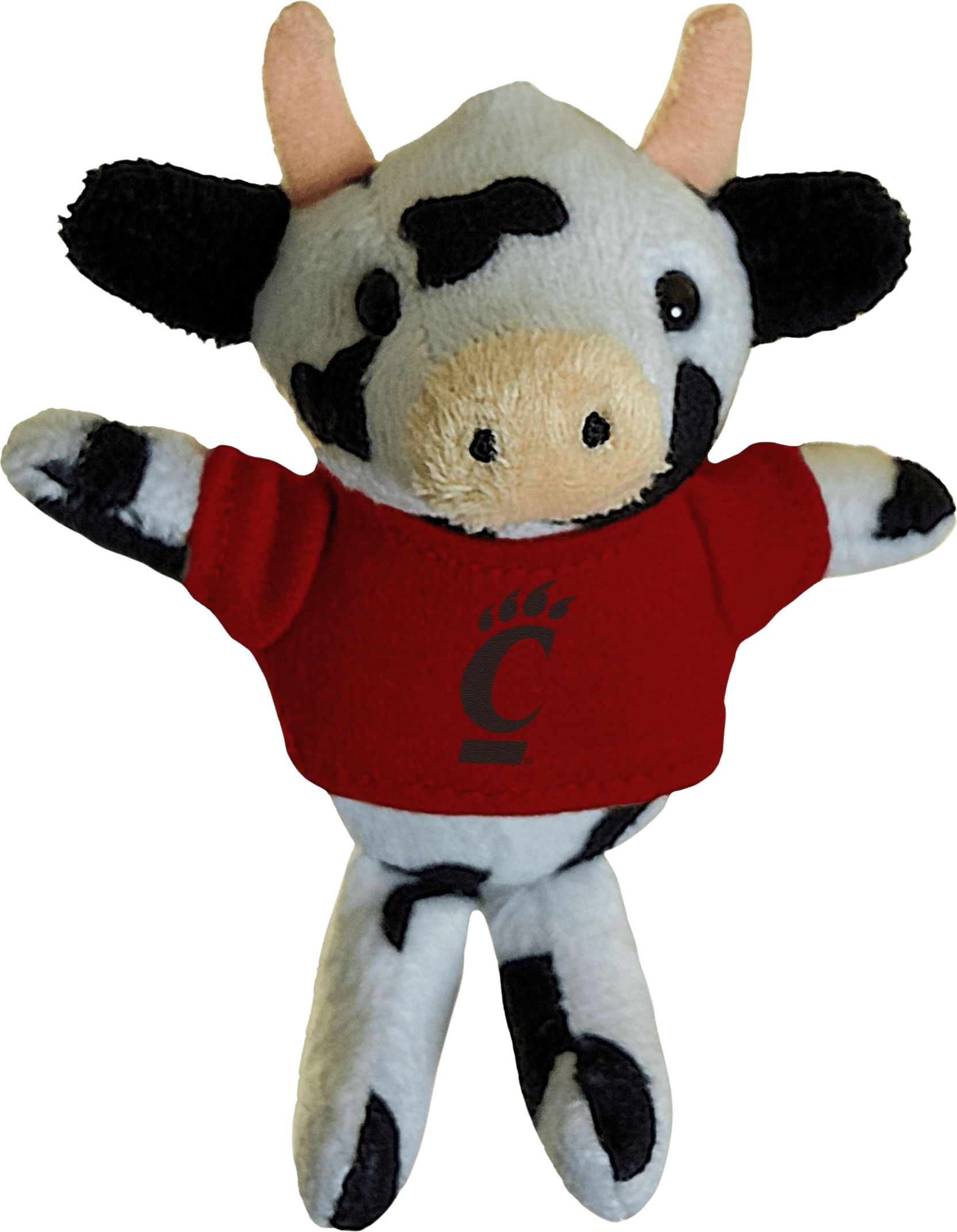University of Cincinnati Plush Magnet