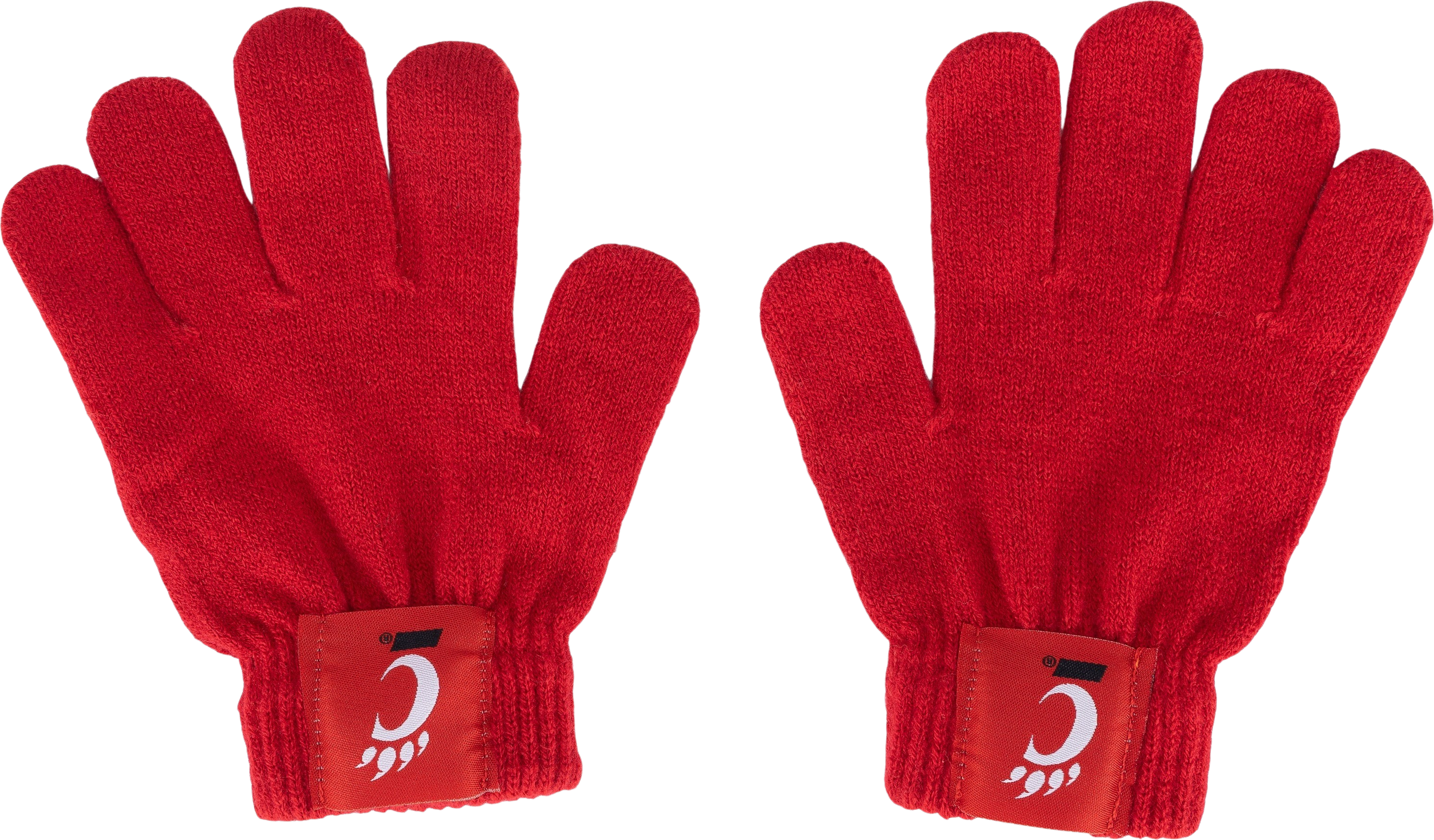 University of Cincinnati Youth Glove