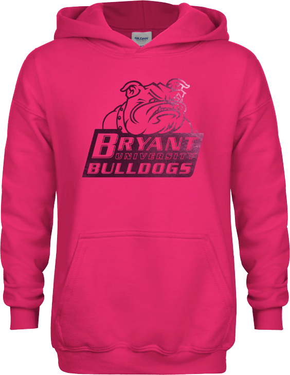 Bryant Youth Fleece Hoodie Bryant Official Logo Foil - ONLINE ONLY