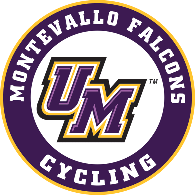 Montevallo Medium Decal Montevallo Falcons Cycling - ONLINE ONLY