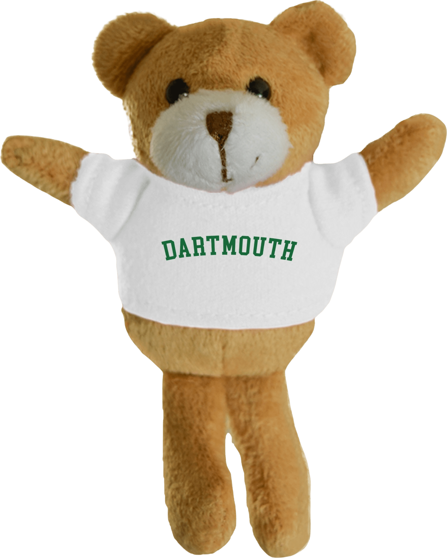 Dartmouth College Plush Magnet