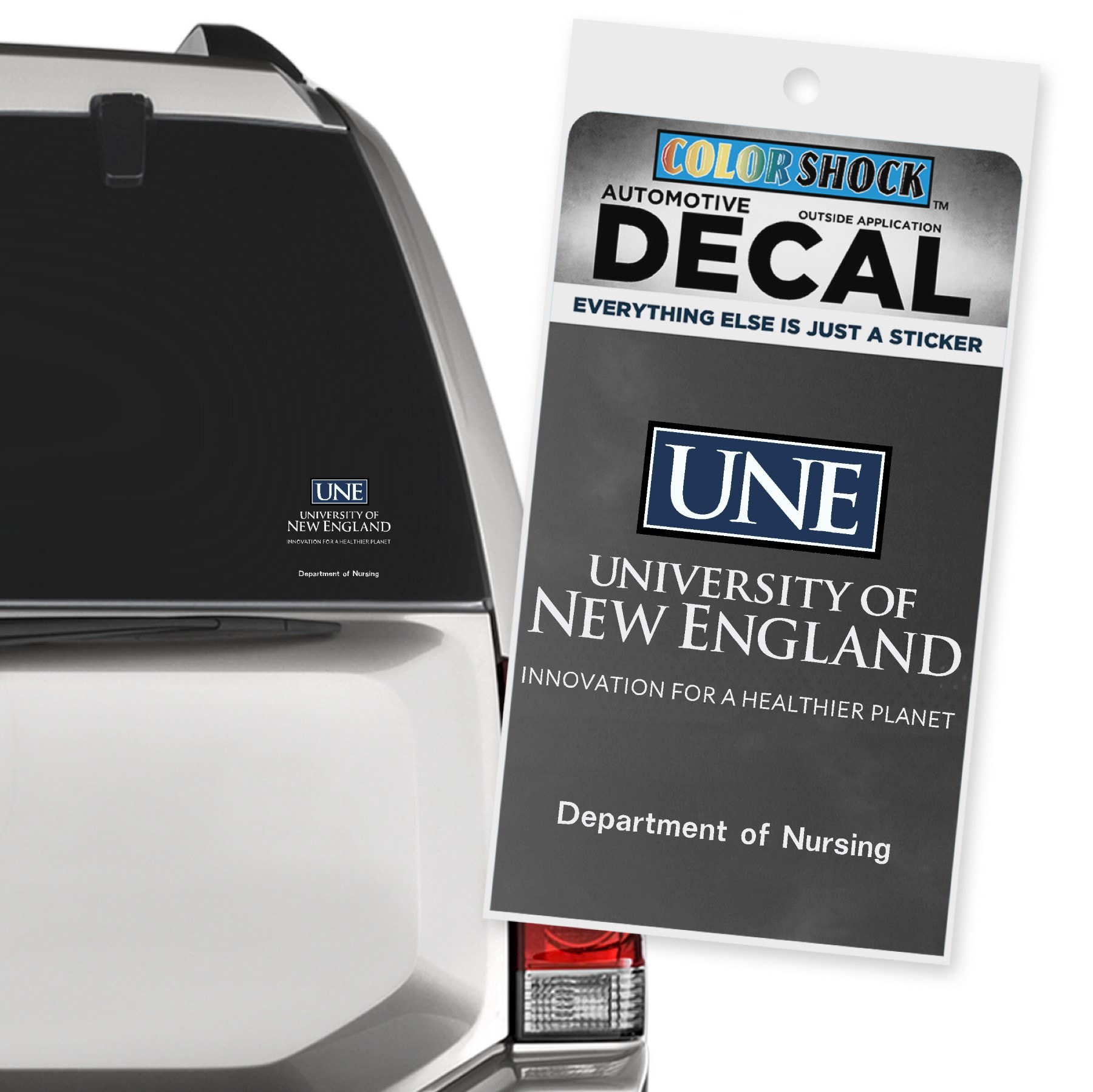 University of New England at Westbrook College School of Nursing Decal