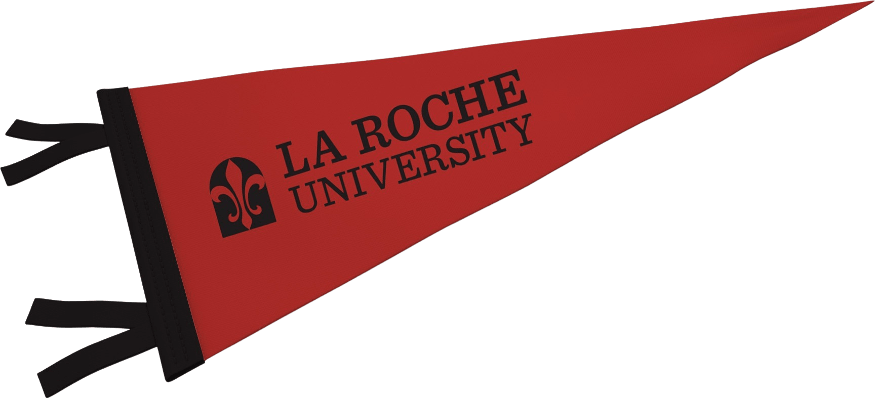 La Roche University 9'' x 24'' Pennant