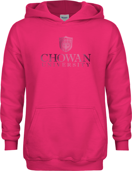Chowan Youth Fleece Hoodie Primary Mark  Foil - ONLINE ONLY