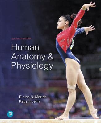 Human Anatomy &amp; Physiology