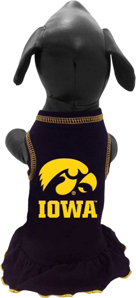 University of Iowa Dog Cheer Dress
