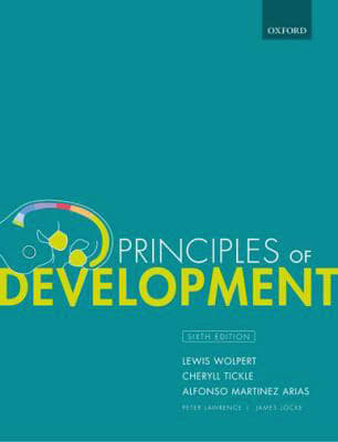 Prin of Development