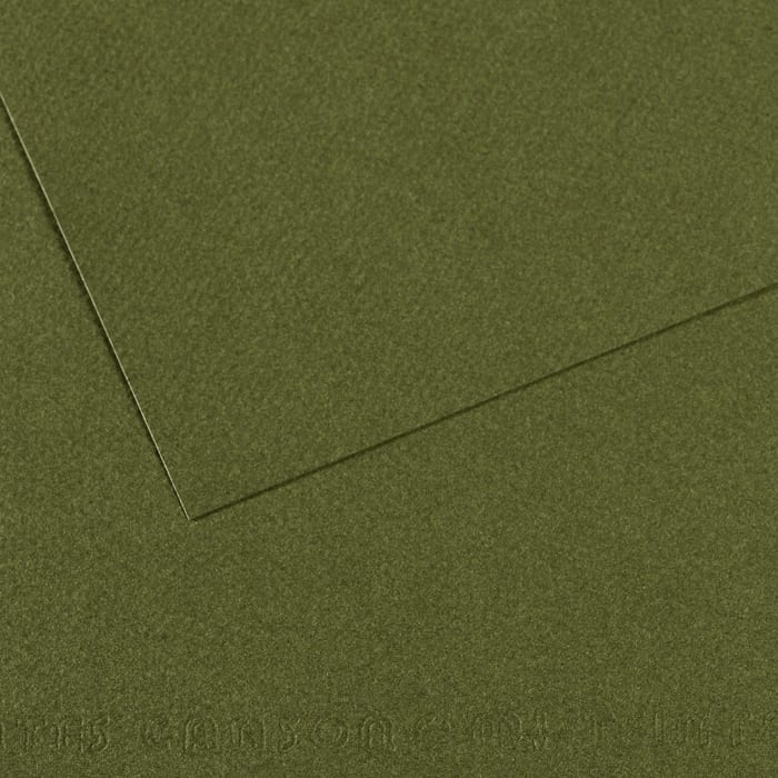 MI-TEINTES 448 IVY 8.5X11
