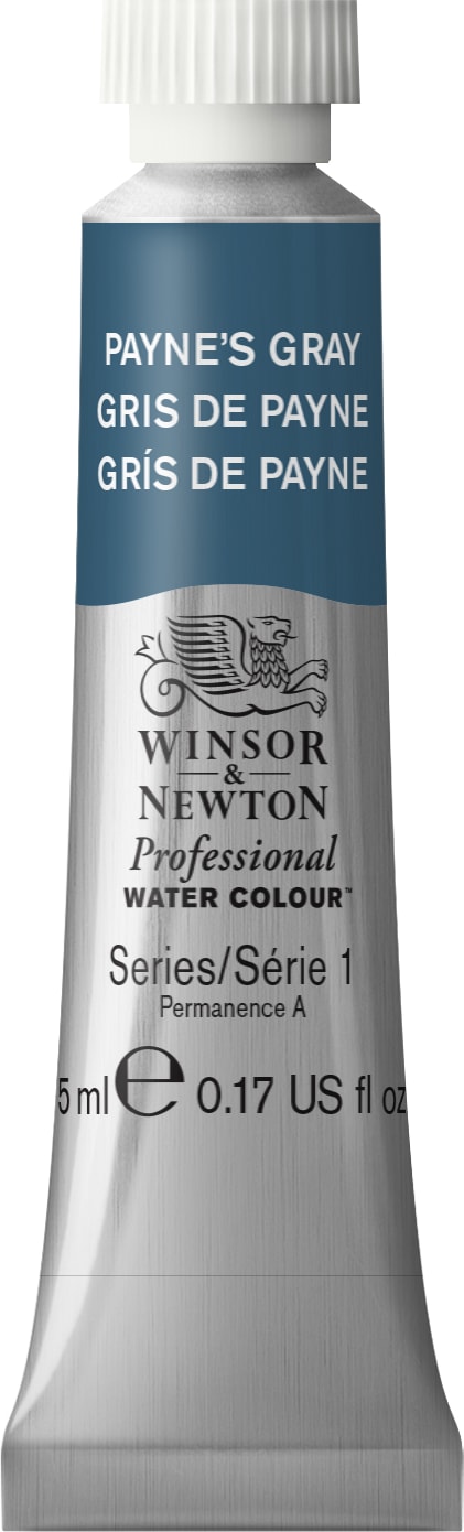Professional Watercolor 5mL Payne Gray