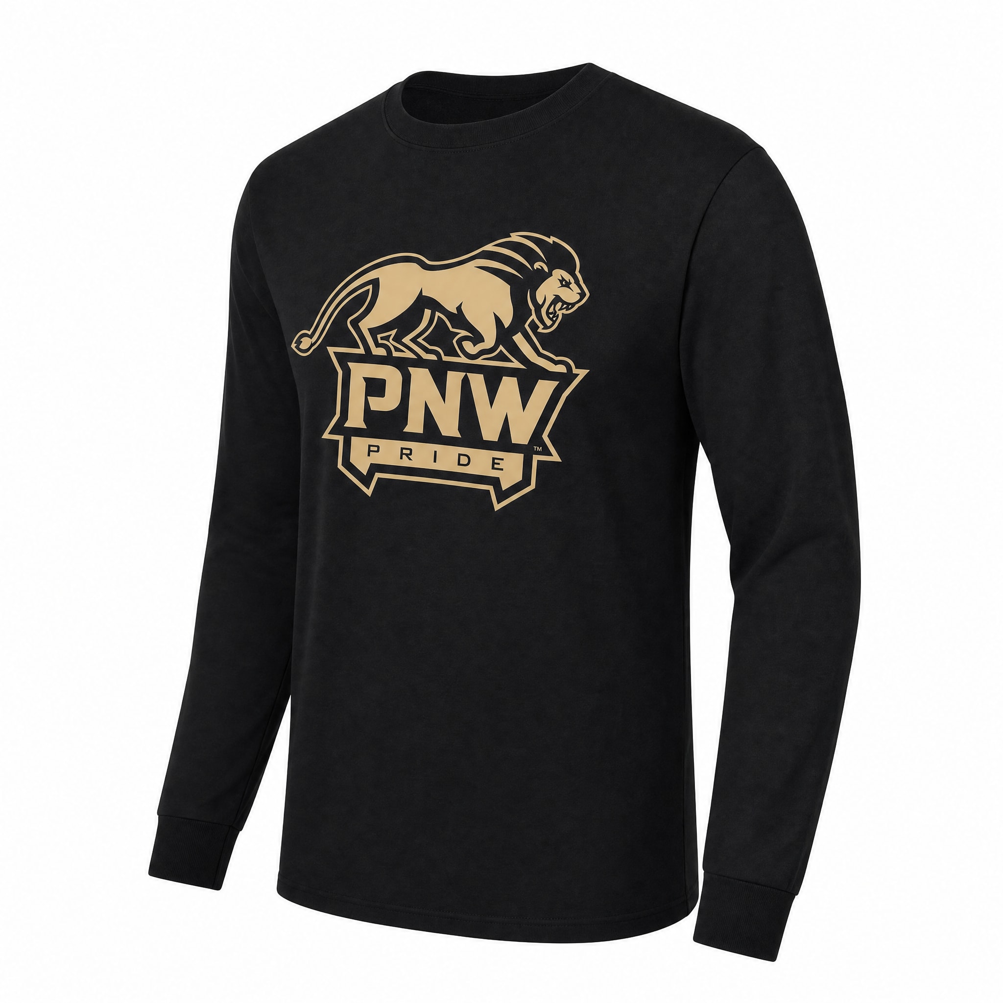 Purdue University Northwest Pride Long Sleeve T-Shirt