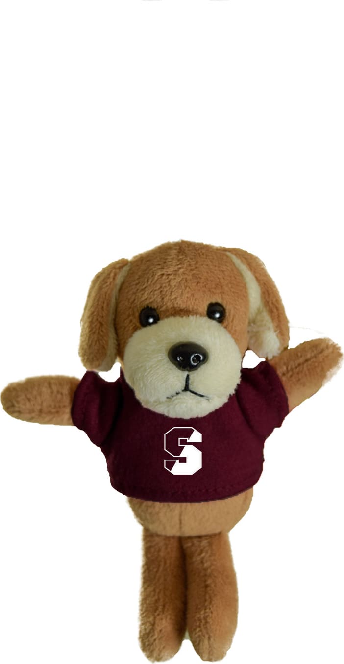 Springfield College Spirit Plush Magnet