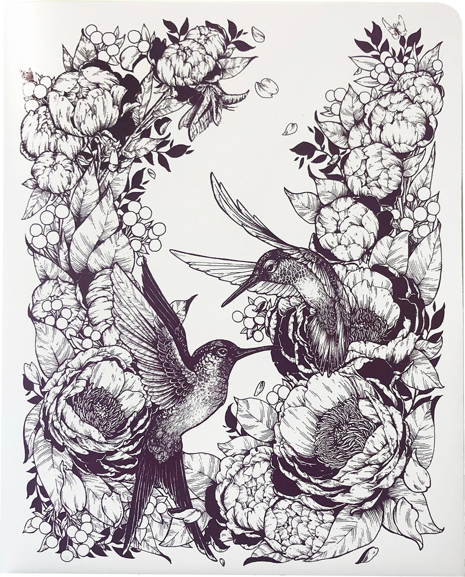 DECOMP FOLDER HUMMINGBIRDS