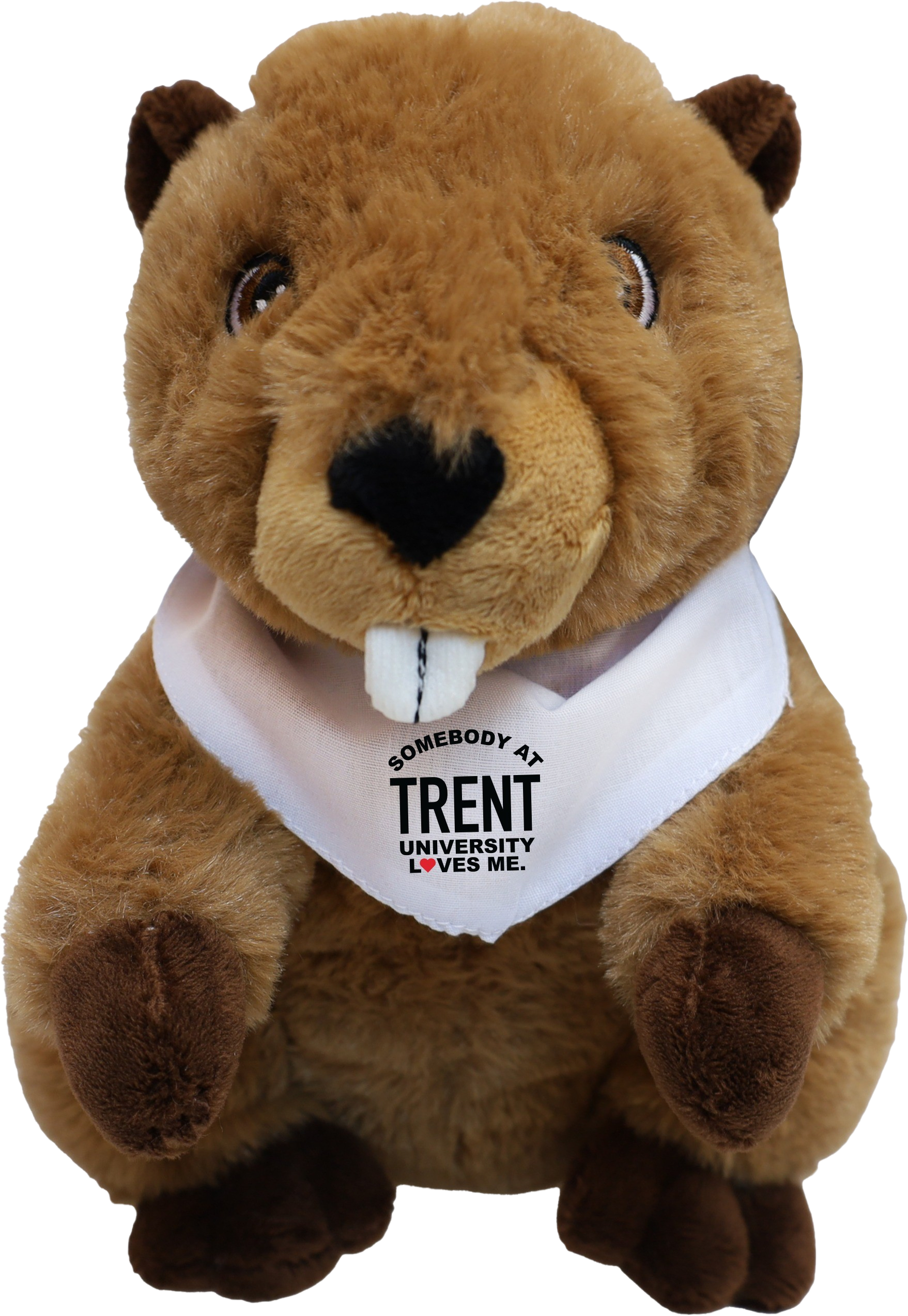 Trent University 9'' Plush