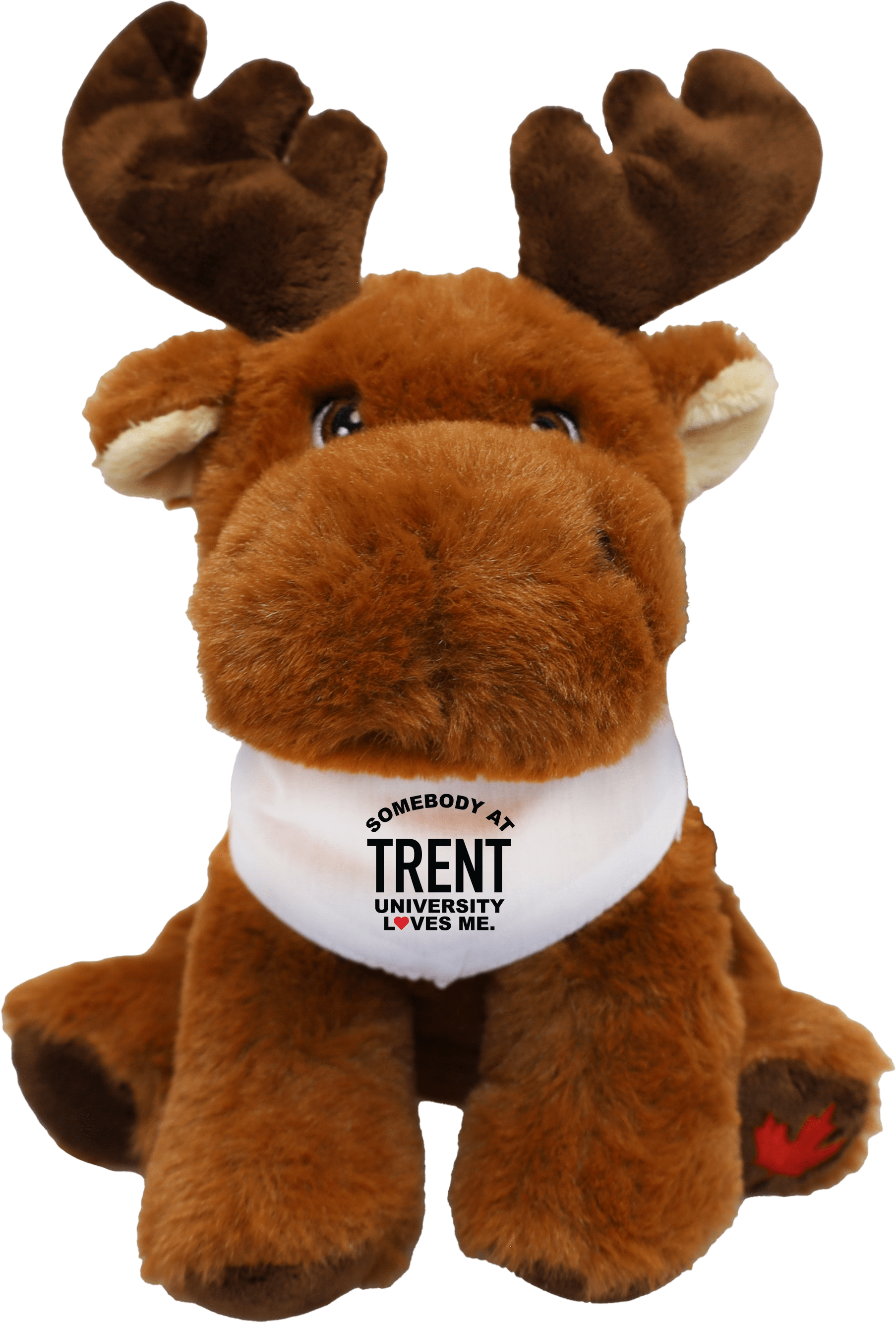Trent University 9'' Plush