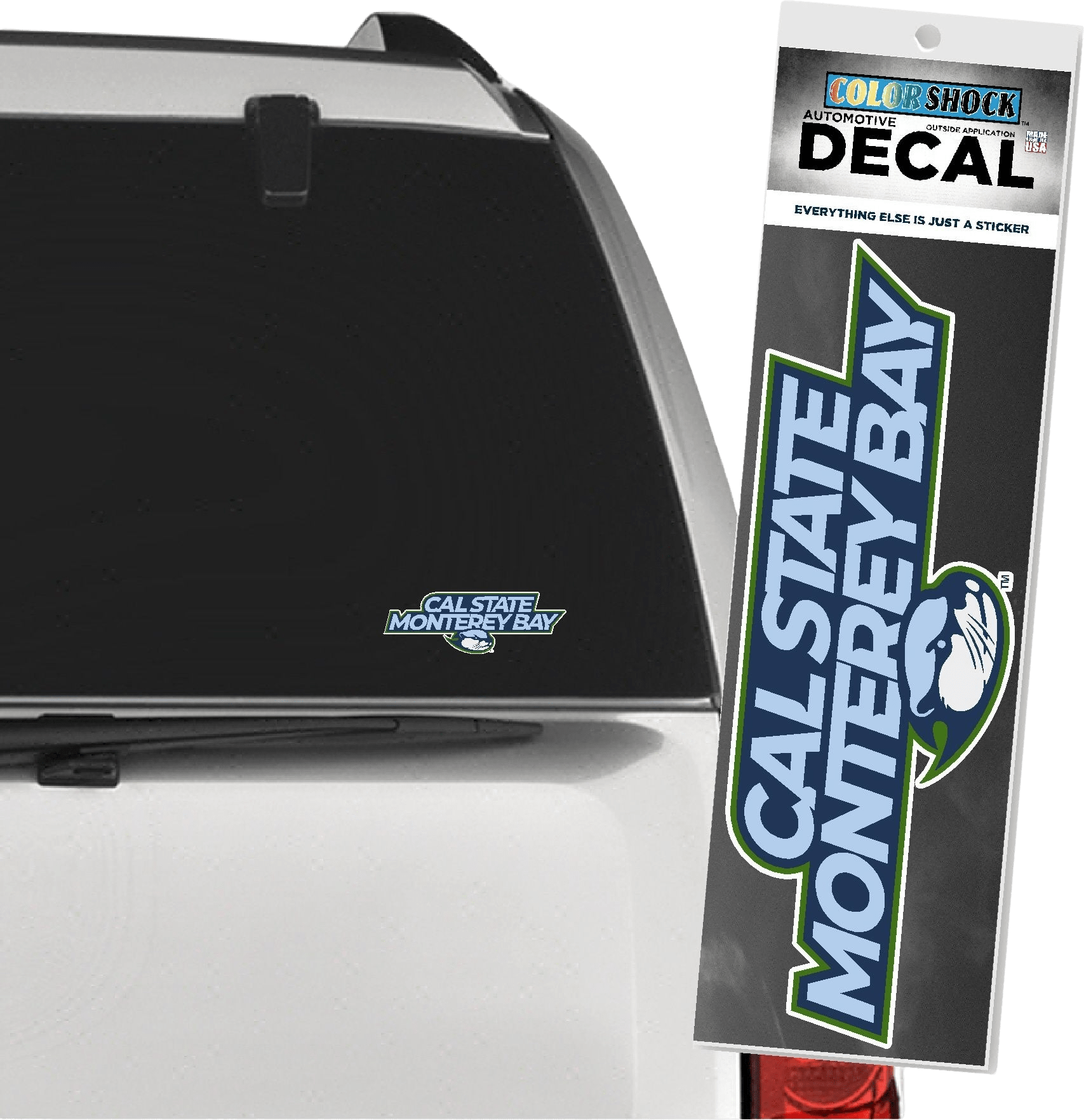 California State University Monterey Bay Otters Decal