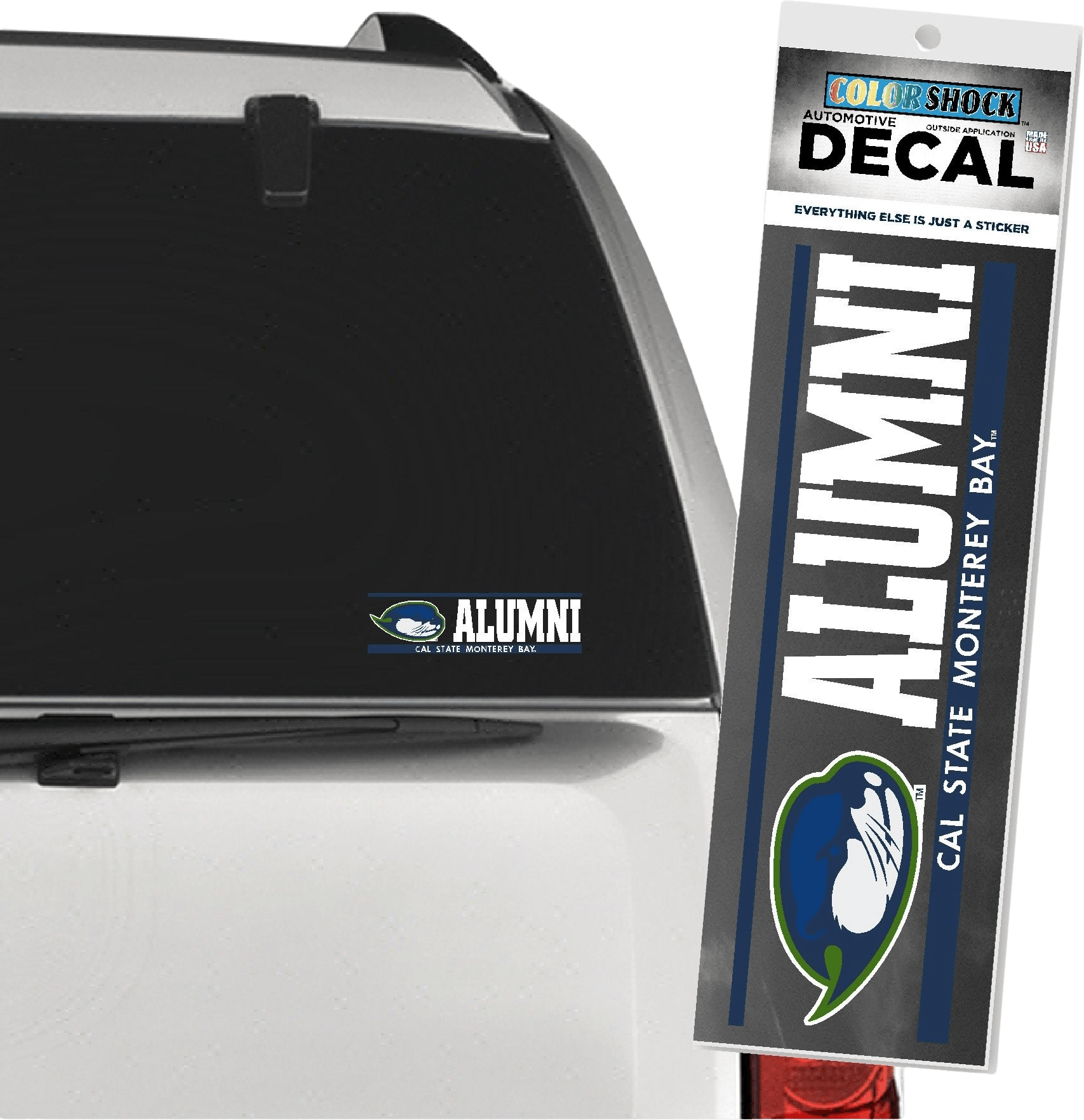 California State University Monterey Bay Otters Alumni Decal