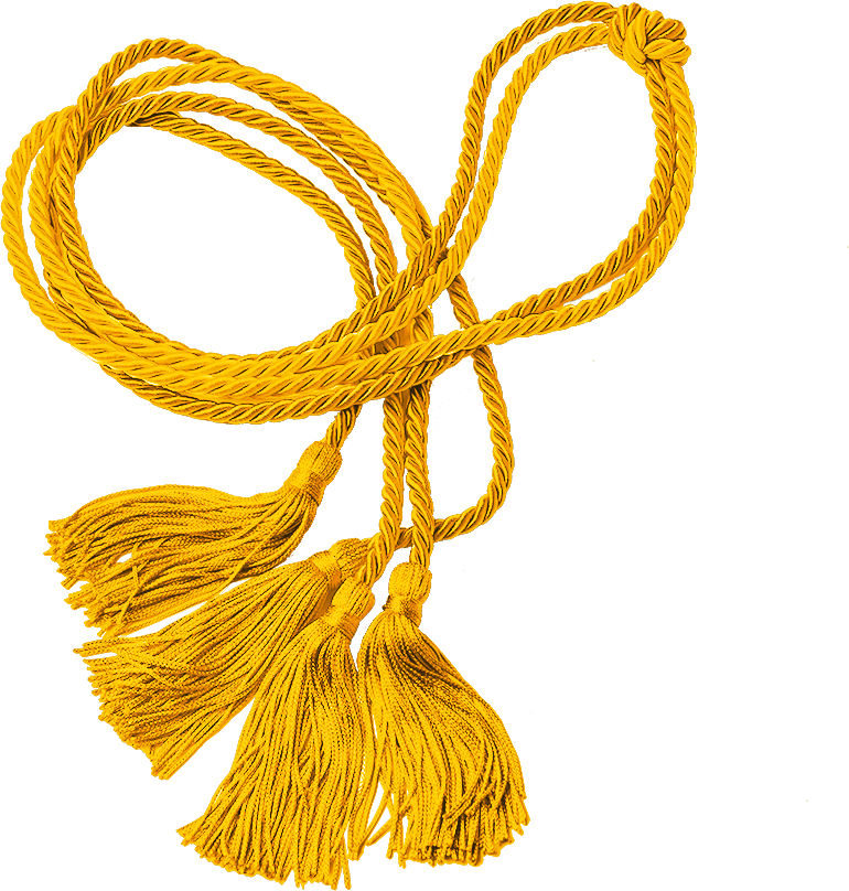 BACHELORS HONORS CORD