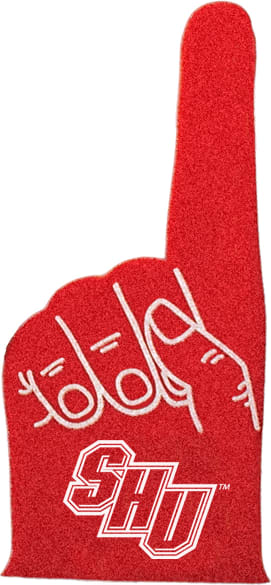 Delaware State University Hornets 18 Foam Hand