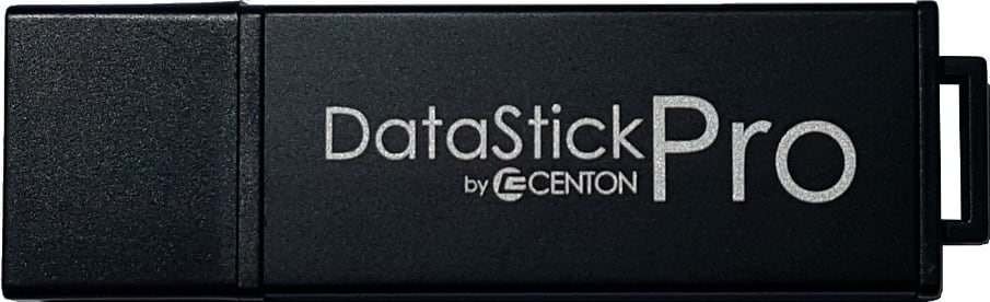 Curry College 256GB DataStick Pro USB 3.0 Flash Drive
