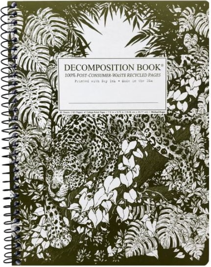 JAGUAR COIL DECOMPOSITION BK