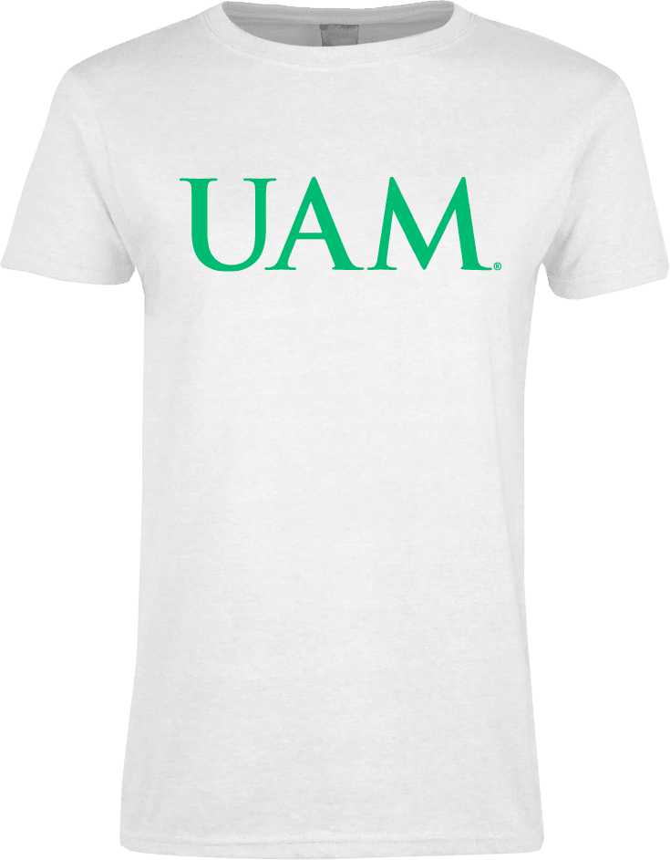 Arkansas Monticello Womens Short Sleeve Tee Primary Institutional - ONLINE ONLY
