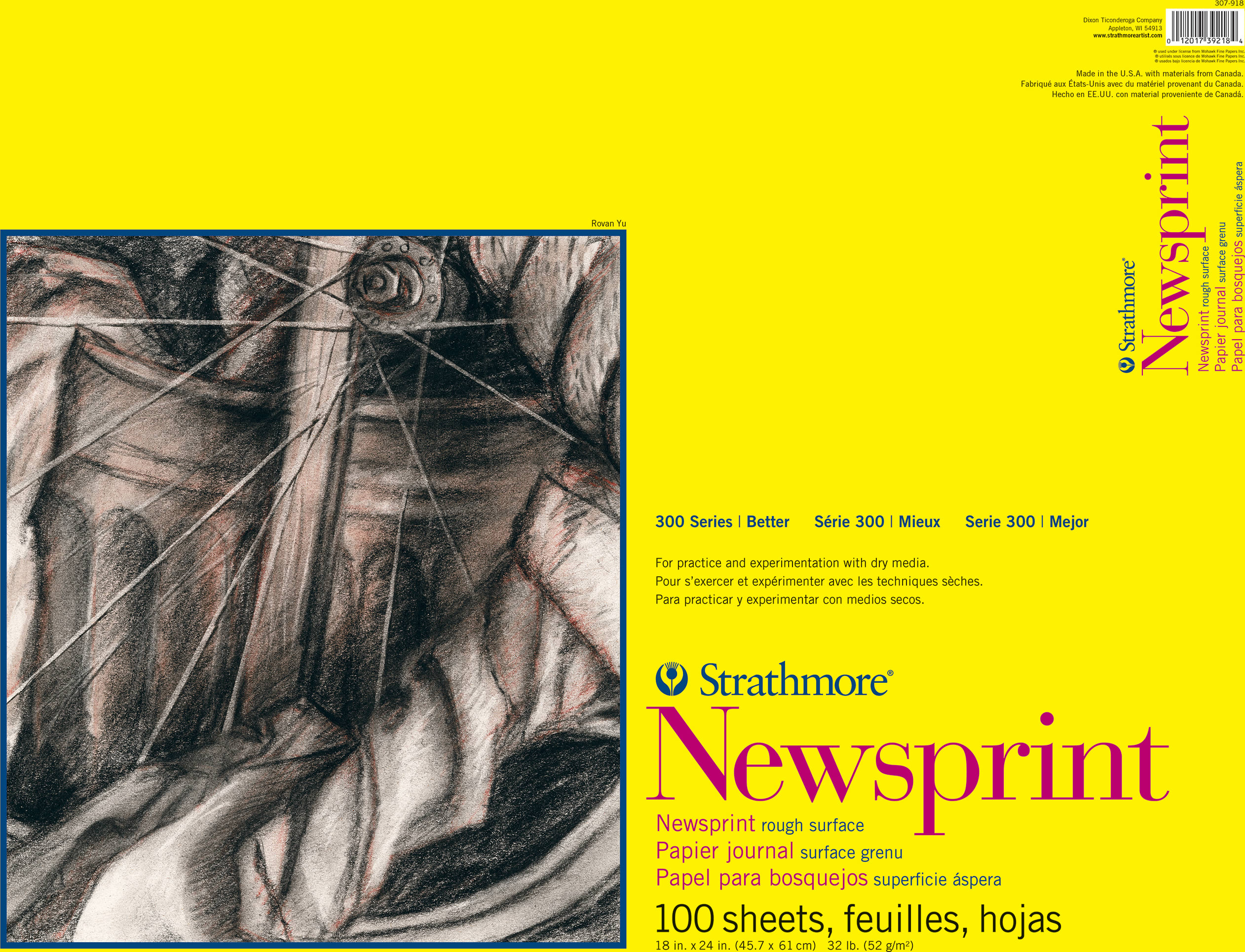 NEWSPRT RGH 18X24 100SH (6)