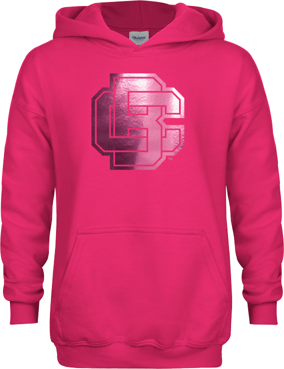Bethune Cookman Youth Fleece Hoodie Primary Mark  Foil - ONLINE ONLY