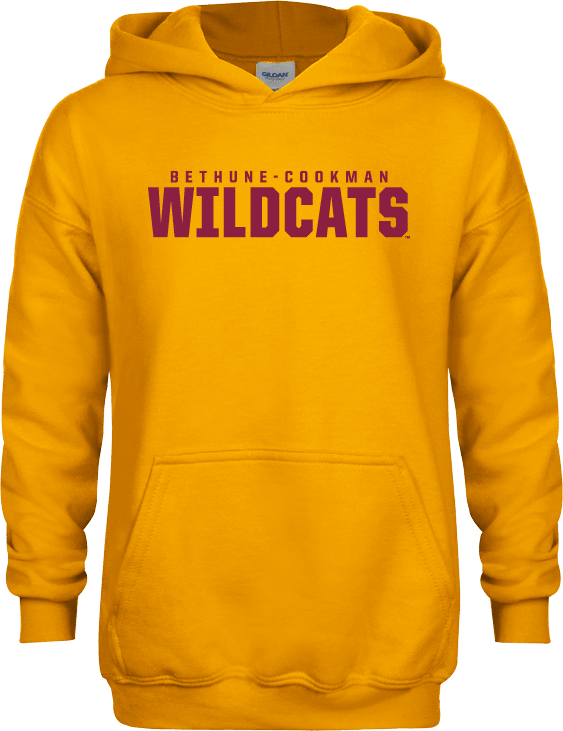 Bethune Cookman Youth Fleece Hoodie Bethune Cookman Wildcats Stacked - ONLINE ONLY