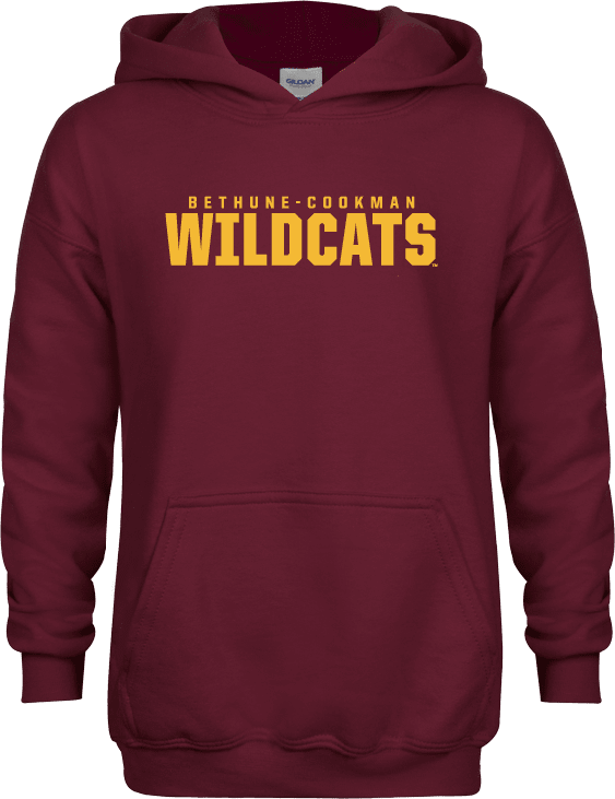 Bethune Cookman Youth Fleece Hoodie Bethune Cookman Wildcats Stacked - ONLINE ONLY