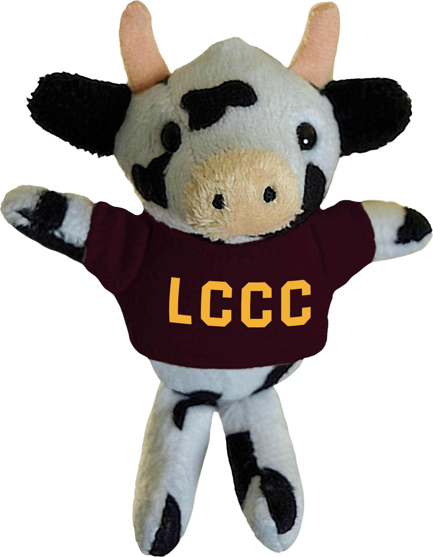 Lehigh Carbon Community College Plush Magnet