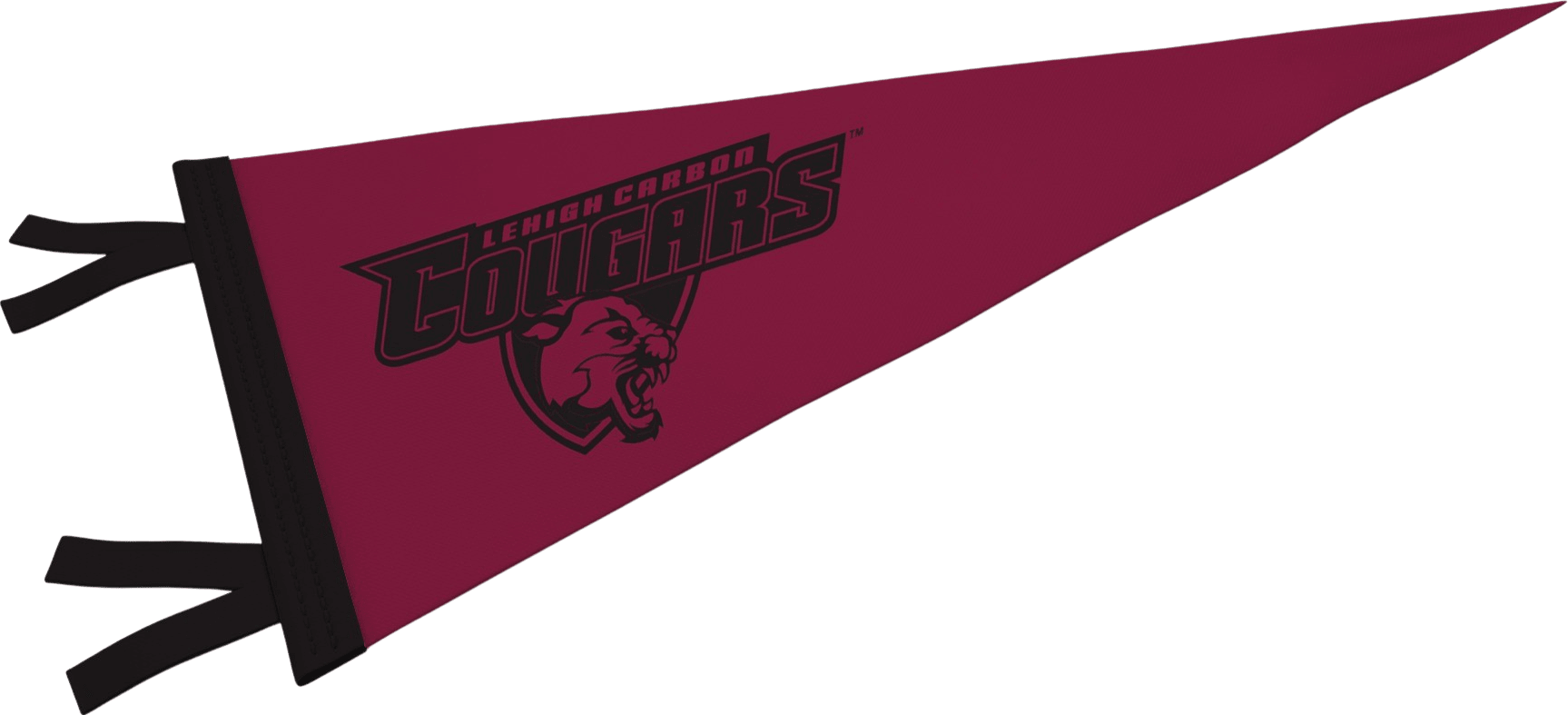 Lehigh Carbon Community College Cougars 9'' x 24'' Pennant