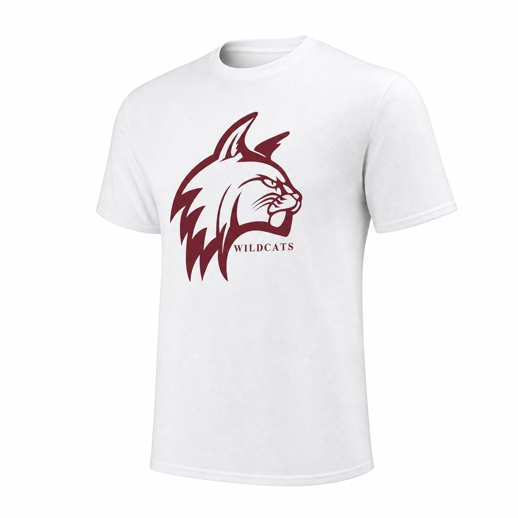 Bay Path University Women's Long Sleeve T-Dhirt